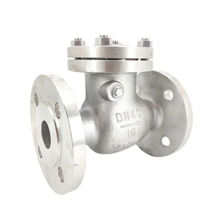 304 Swing Check Valves
