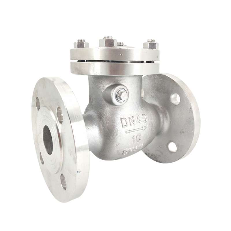 304 swing check valves show